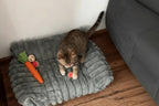 Cama sofá pet listrada em tamanho médio, ideal para cães e gatos de pequeno a médio porte