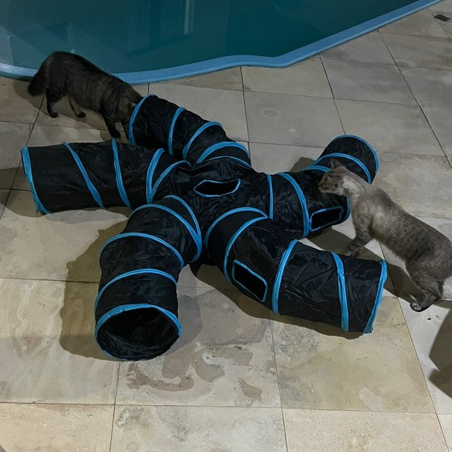 Túnel interativo para gatos com design moderno e cores vibrantes para pet shop Madrupet