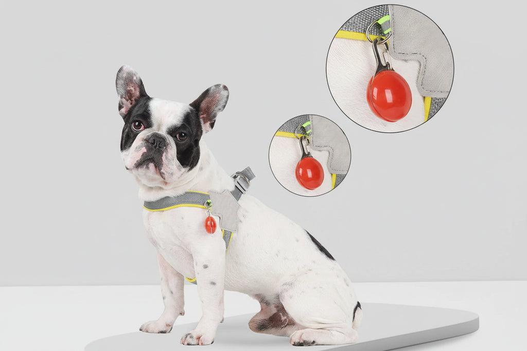 Detalhe da faixa refletiva no peitoral ajustável para cachorro
