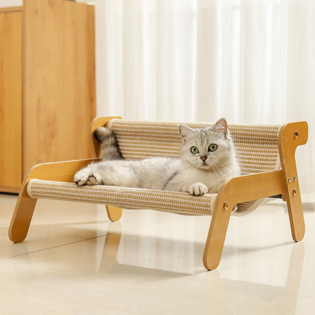 Ambiente pet com poltrona sisal para gatos e decoração clean