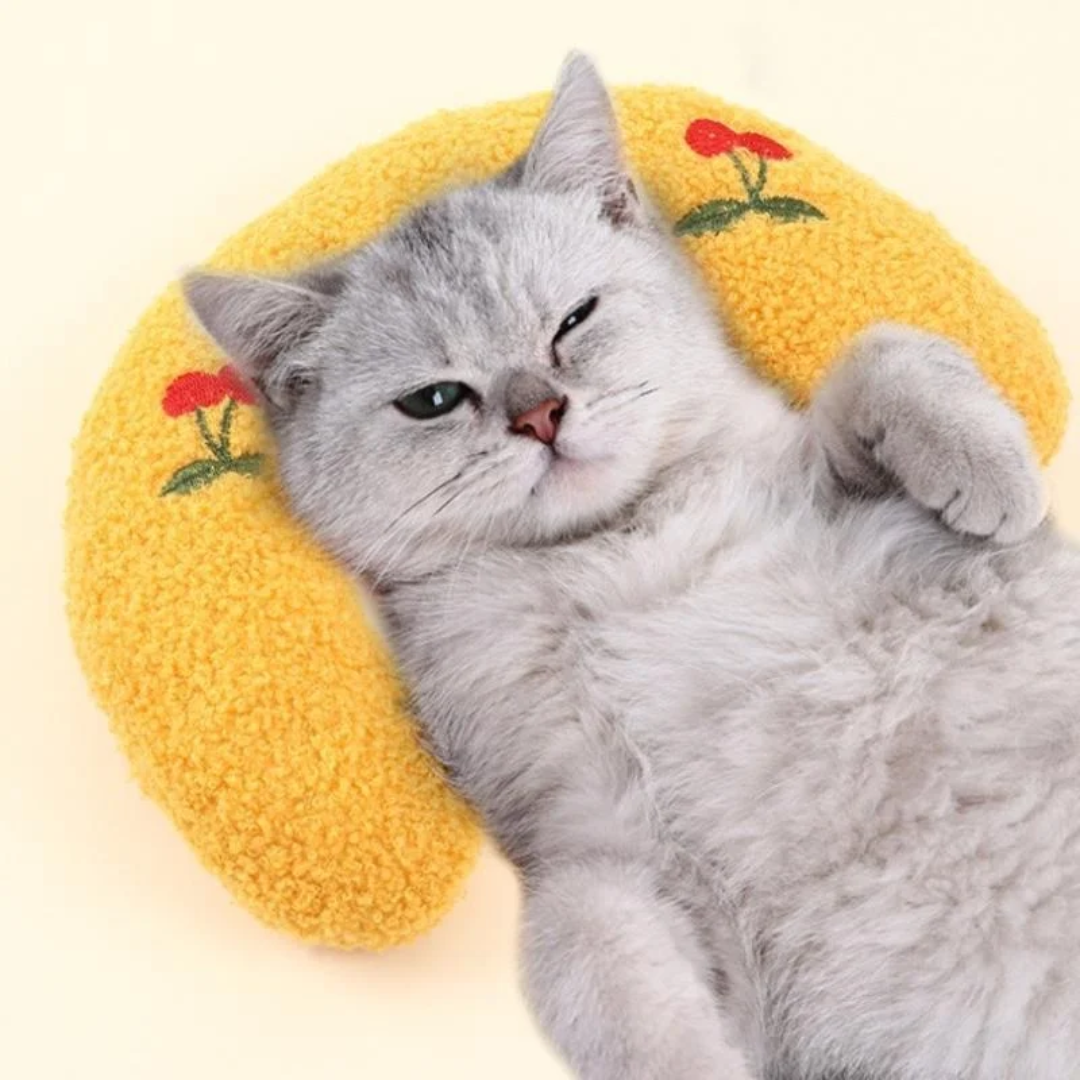 Gato dormindo profundamente em travesseiro ergonômico para gatos com suporte ortopédico