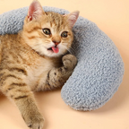 Gato branco deitado em travesseiro ergonômico para gatos em ambiente aconchegante