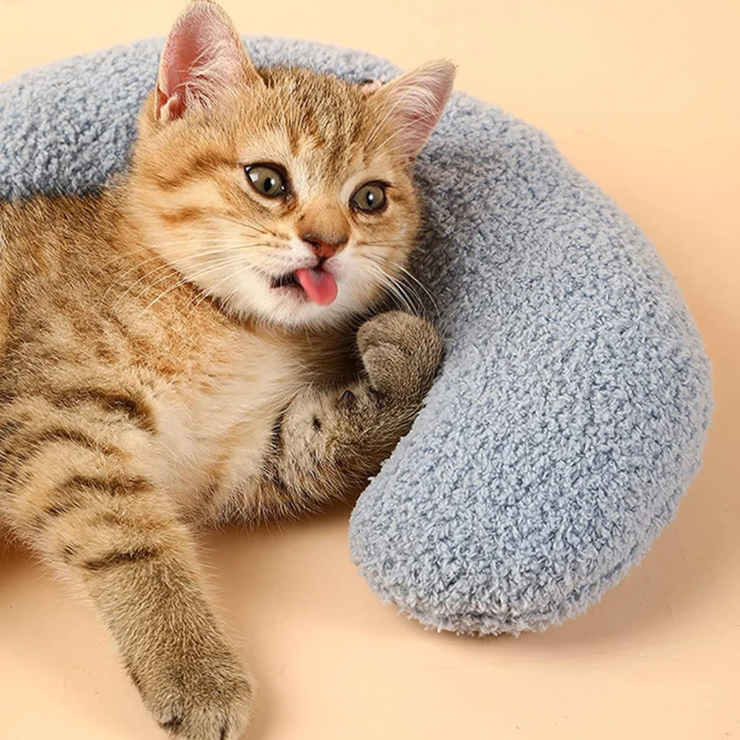 Gato branco deitado em travesseiro ergonômico para gatos em ambiente aconchegante