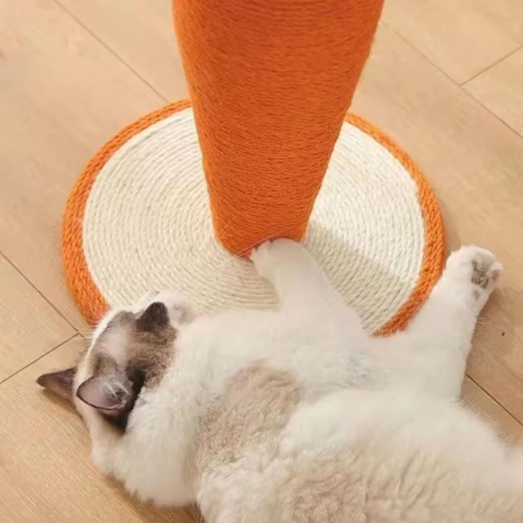 Arranhador cenoura para gatos disponível em tamanho médio, perfeito para apartamentos pequenos