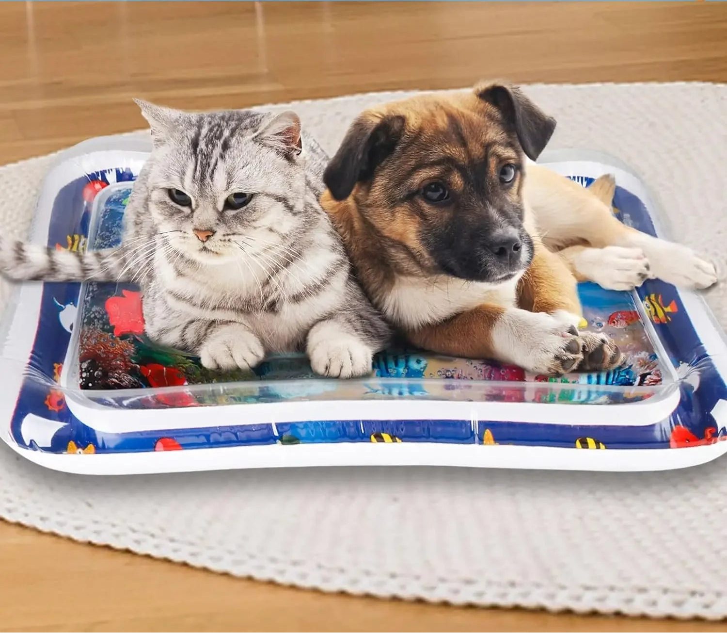 Tapete aquático sensorial colorido para cães e gatos, perfeito para momentos de lazer e diversão