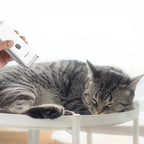 Tosador profissional usando máquina de tosa elétrica para pets com lâmina de precisão