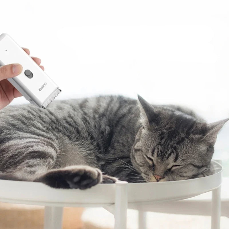 Tosador profissional usando máquina de tosa elétrica para pets com lâmina de precisão