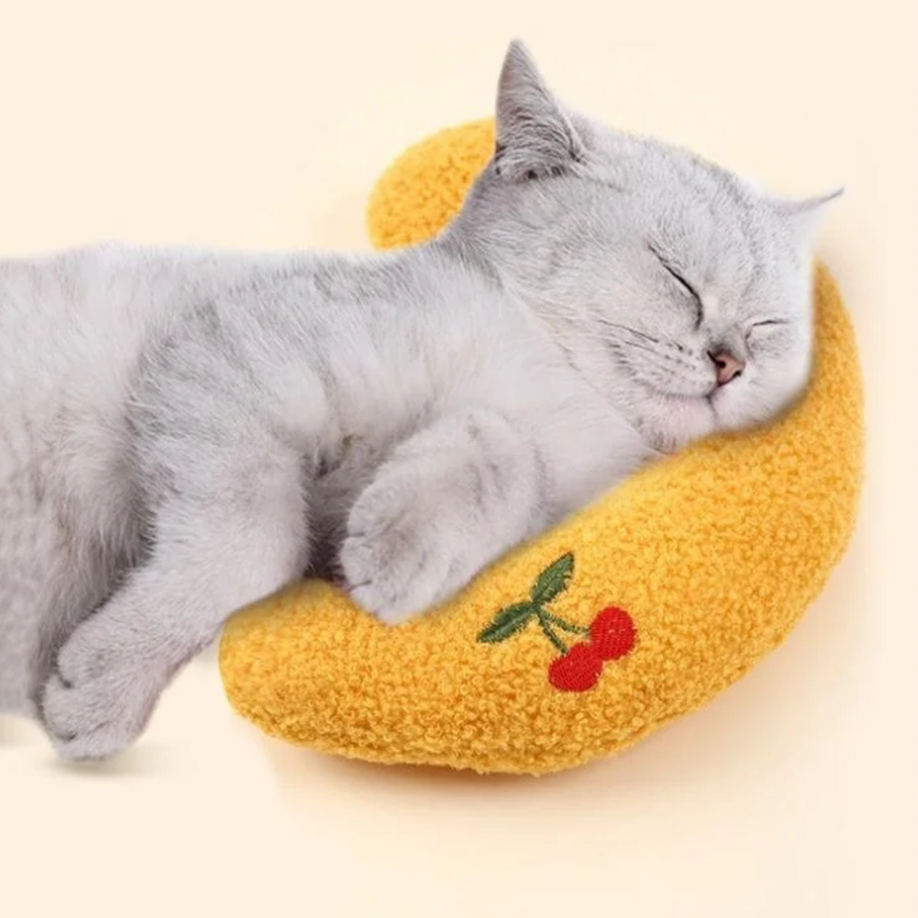 Travesseiro ergonômico para gatos com suporte ideal para coluna felina