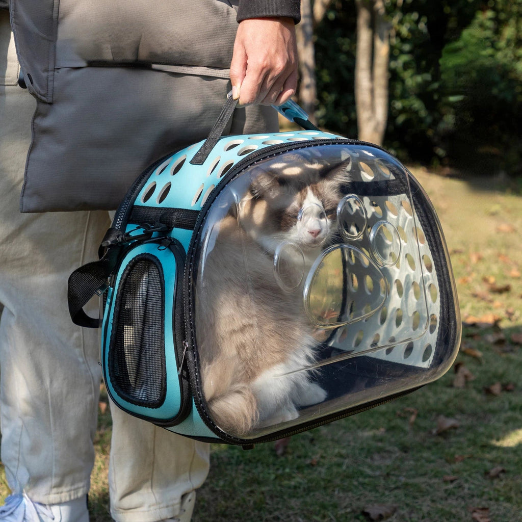 Gato confortável dentro da bolsa transparente para transporte durante viagem