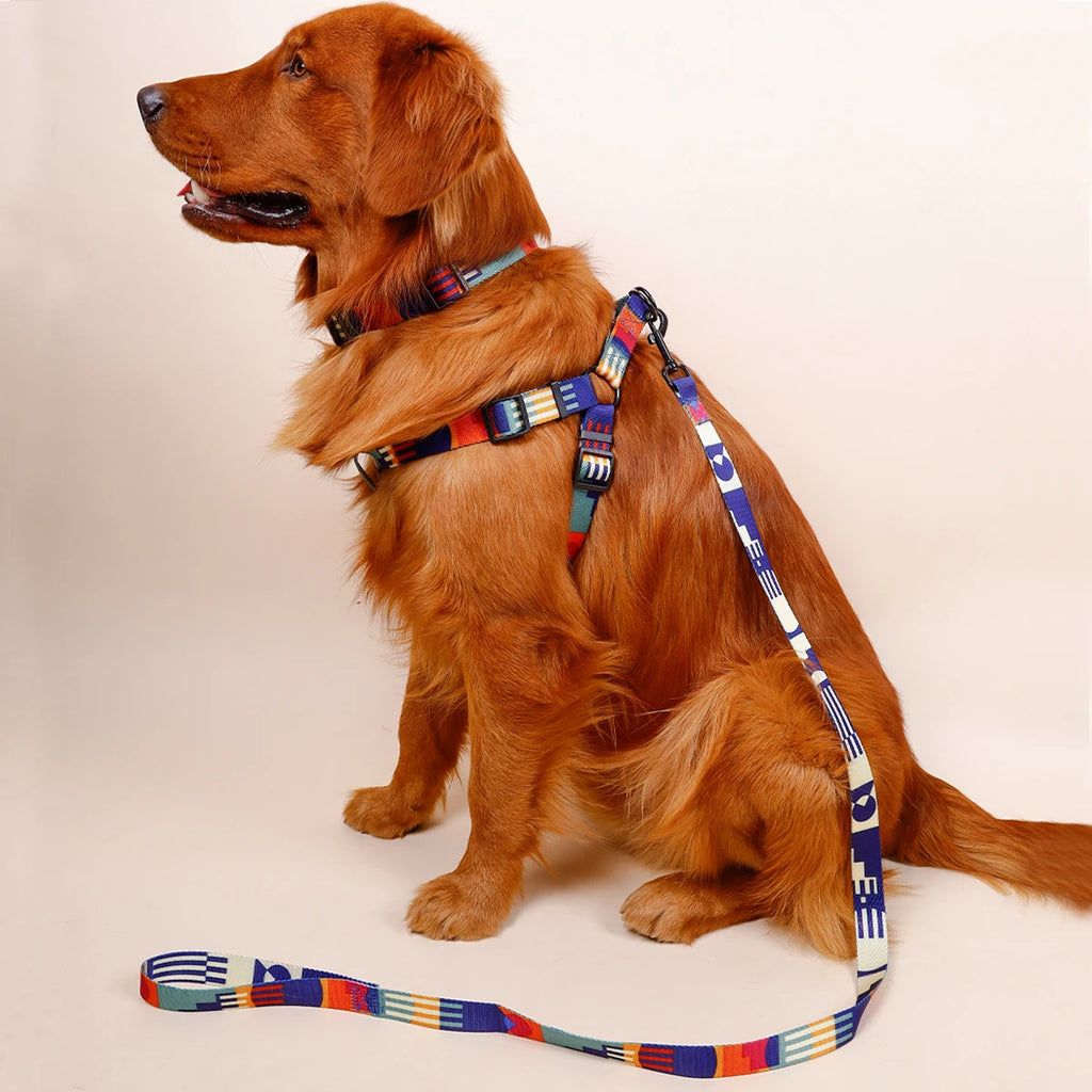 Detalhe do fecho ajustável do peitoral estampado para cachorro com design seguro e prático