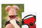 Peitoral para cachorro com design ergonômico e conforto para pets de todos os tamanhos