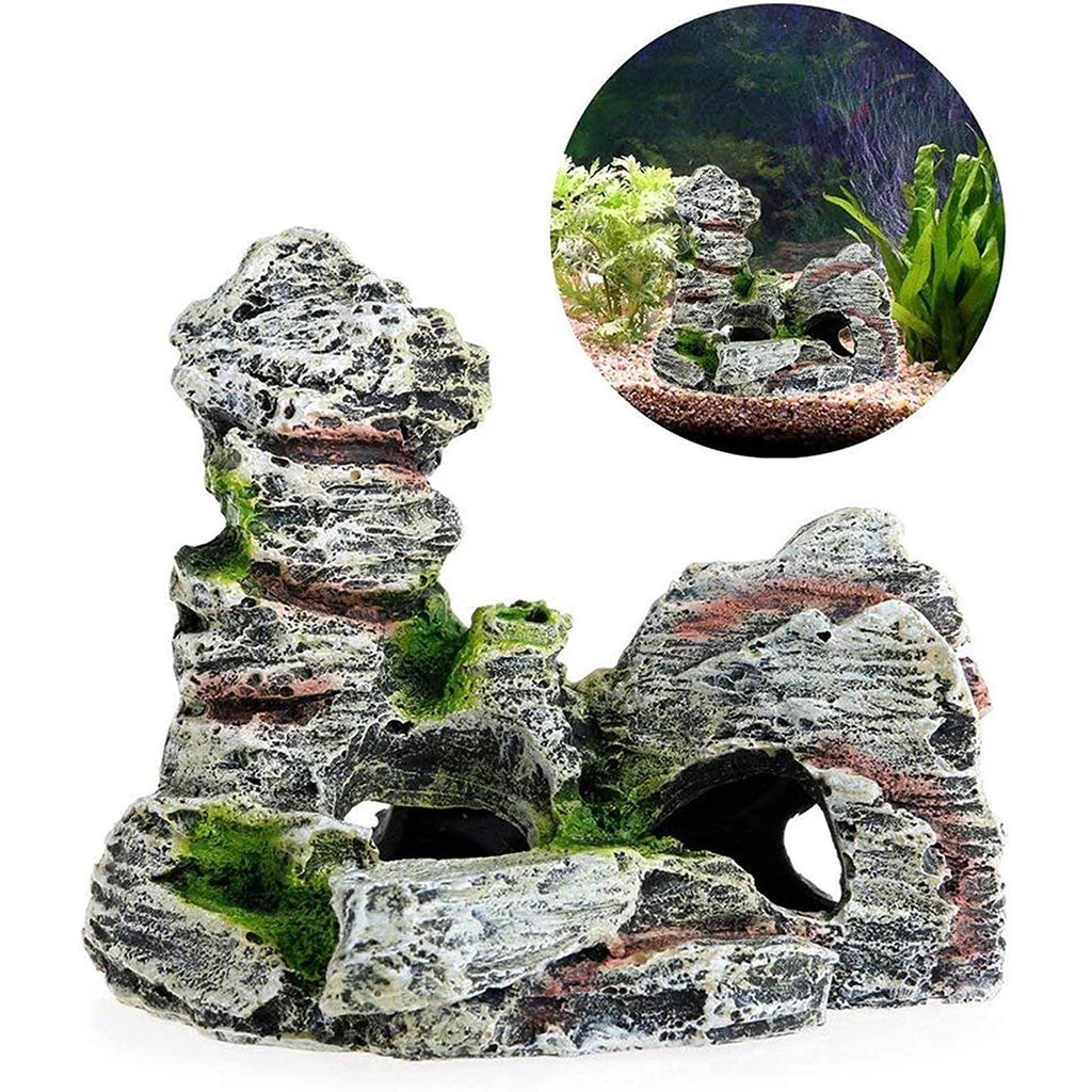 peixe explorando caverna com musgo dentro do aquário, ambiente natural e seguro