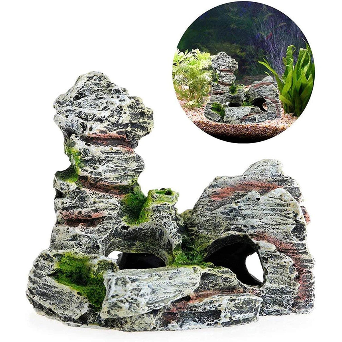 peixe explorando caverna com musgo dentro do aquário, ambiente natural e seguro