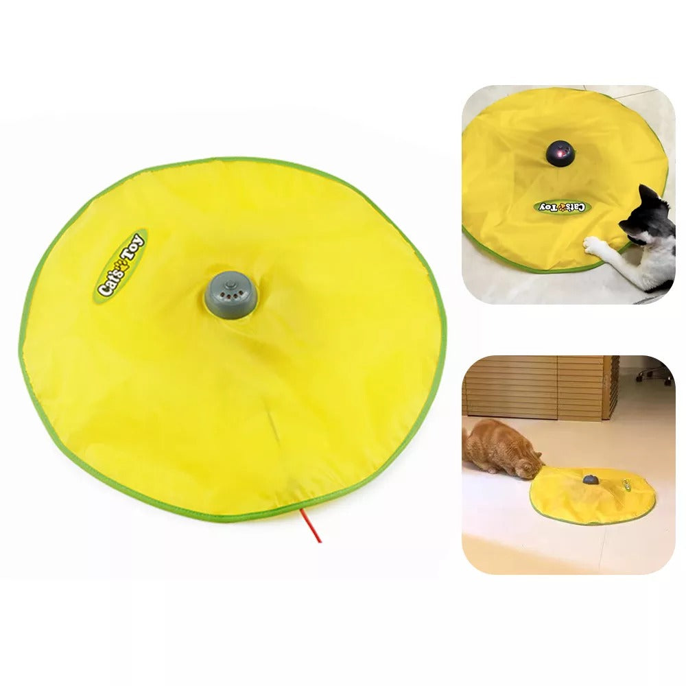 Gato brincando no tapete brinquedo interativo para gatos com texturas variadas