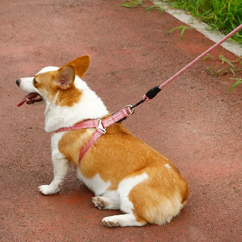 Detalhe do fecho seguro e ajuste do peitoral para cachorro tamanho médio