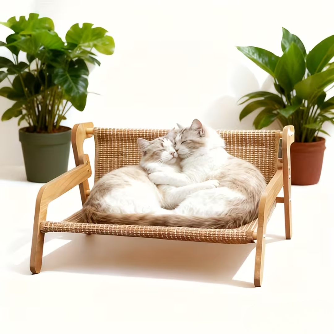 Poltrona sisal para gatos funcionando como arranhador e refúgio