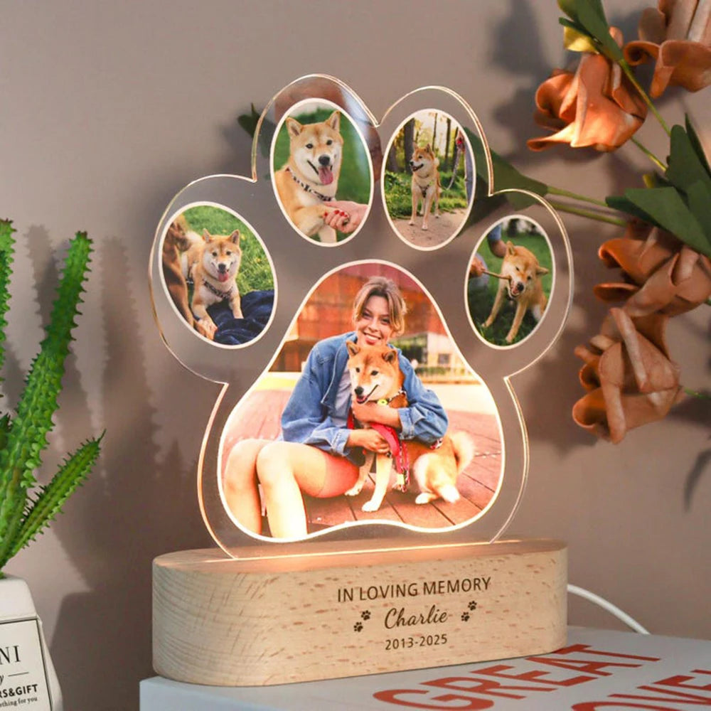 Luminária memorial para pets com luz suave homenageando o amor eterno do seu animal
