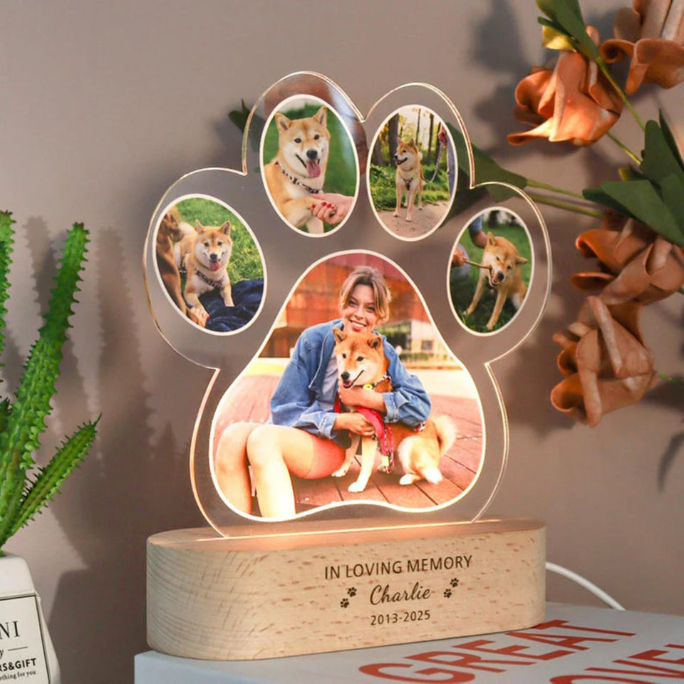 Luminária memorial para pets com luz suave homenageando o amor eterno do seu animal