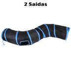 Gato curioso explorando o túnel interativo para gatos em sala de estar