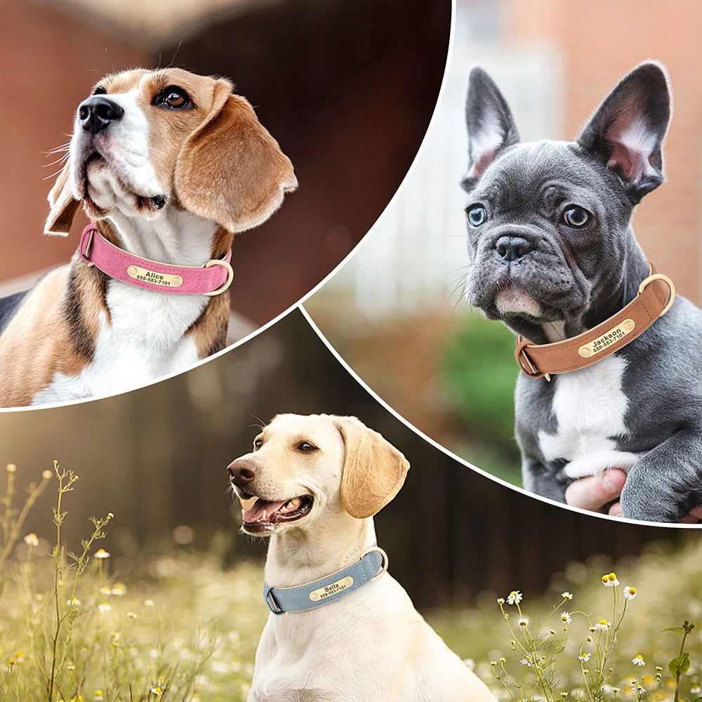 Coleira personalizada para cachorro em tamanho médio com ajuste para diferentes raças