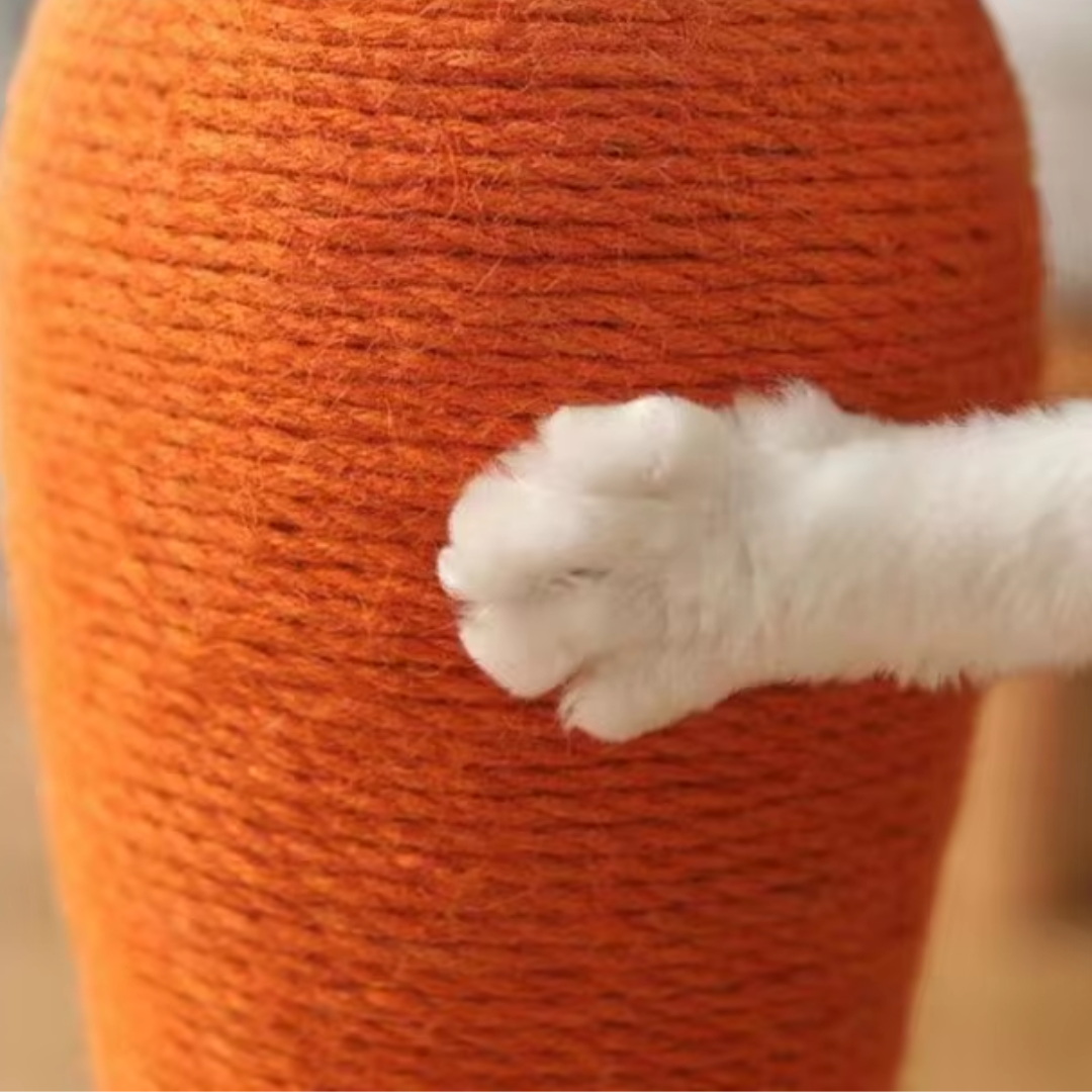 Arranhador cenoura em tom laranja vibrante com formato divertido para gatos se entreterem
