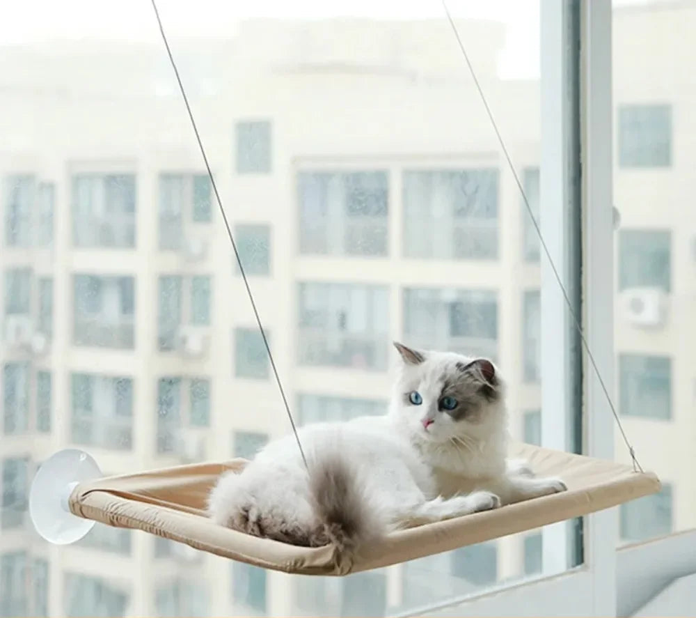 Cama suspensa para gatos com rede de janela segura e confortável para descanso felino