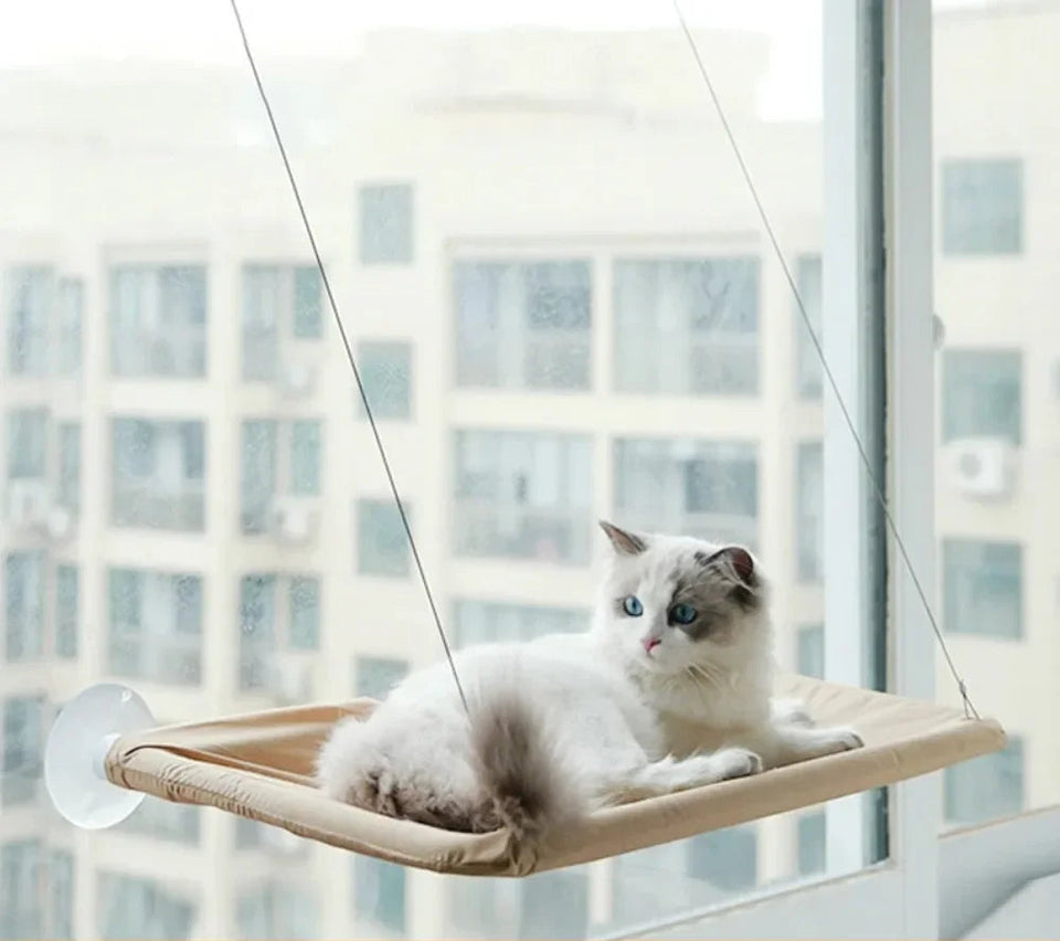 Cama suspensa para gatos com rede de janela segura e confortável para descanso felino