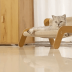 Poltrona sisal para gatos em ambiente pet com iluminação natural