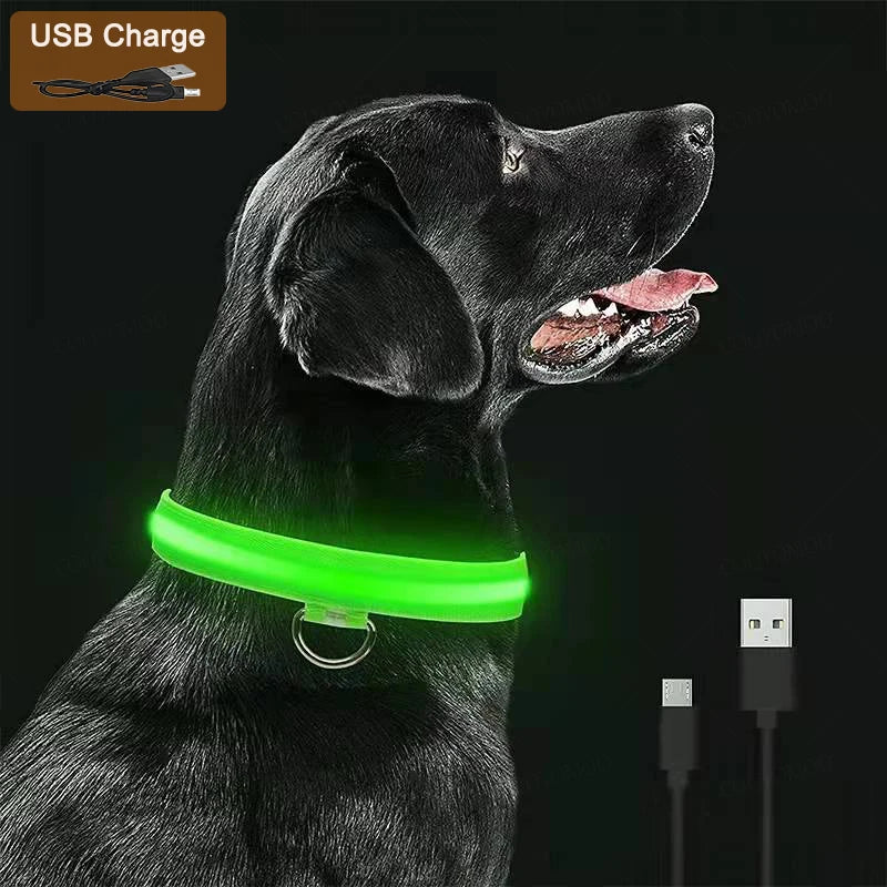 Coleira led para pets com luzes brilhantes para visibilidade noturna e segurança garantida