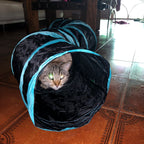 Túnel interativo para gatos com acessórios para estimular a interação e o lazer felino