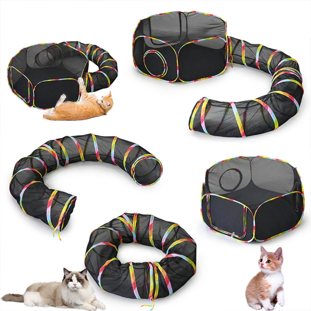 Gato descansando confortavelmente dentro da barraca túnel para gatos Madrupet, ambiente acolhedor e seguro