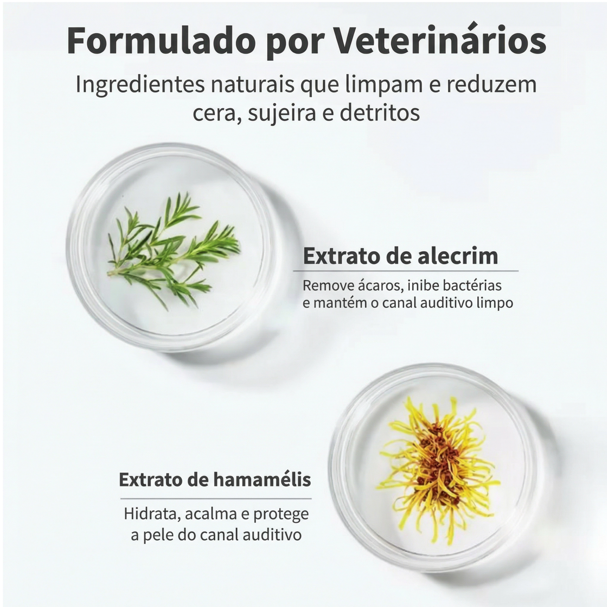 Gato relaxando enquanto dono usa lenço umedecido para limpeza dos ouvidos, higiene e conforto garantidos
