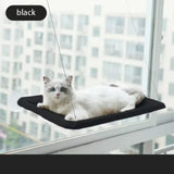 Cama Suspensa para Gatos — Rede de Janela Segura e Confortável