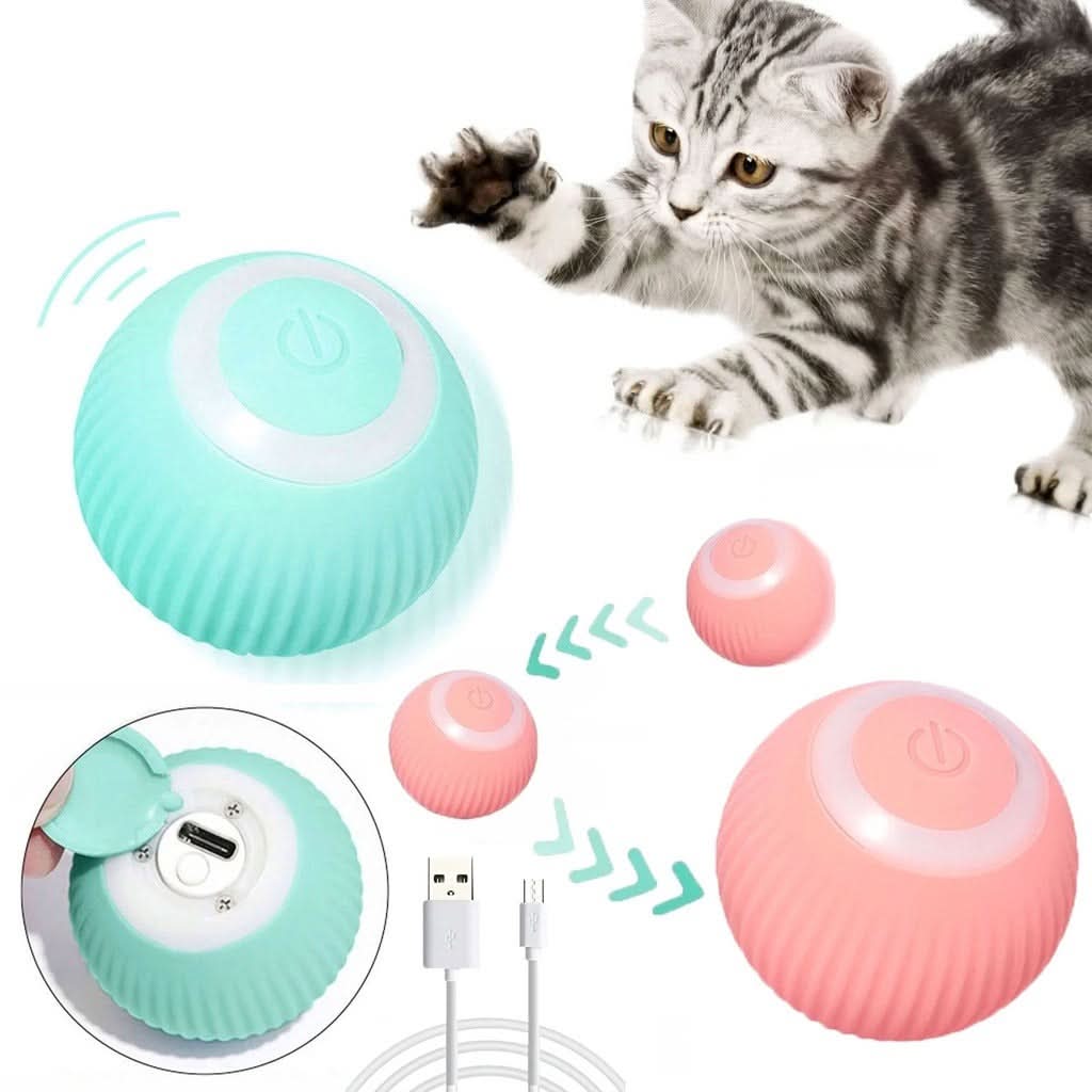 Gato brincando com bolinha inteligente para gatos, promovendo atividade física e mental