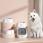 Bebedouro Anti-Respingo para Pets — Água Fresca e Ambiente Limpo