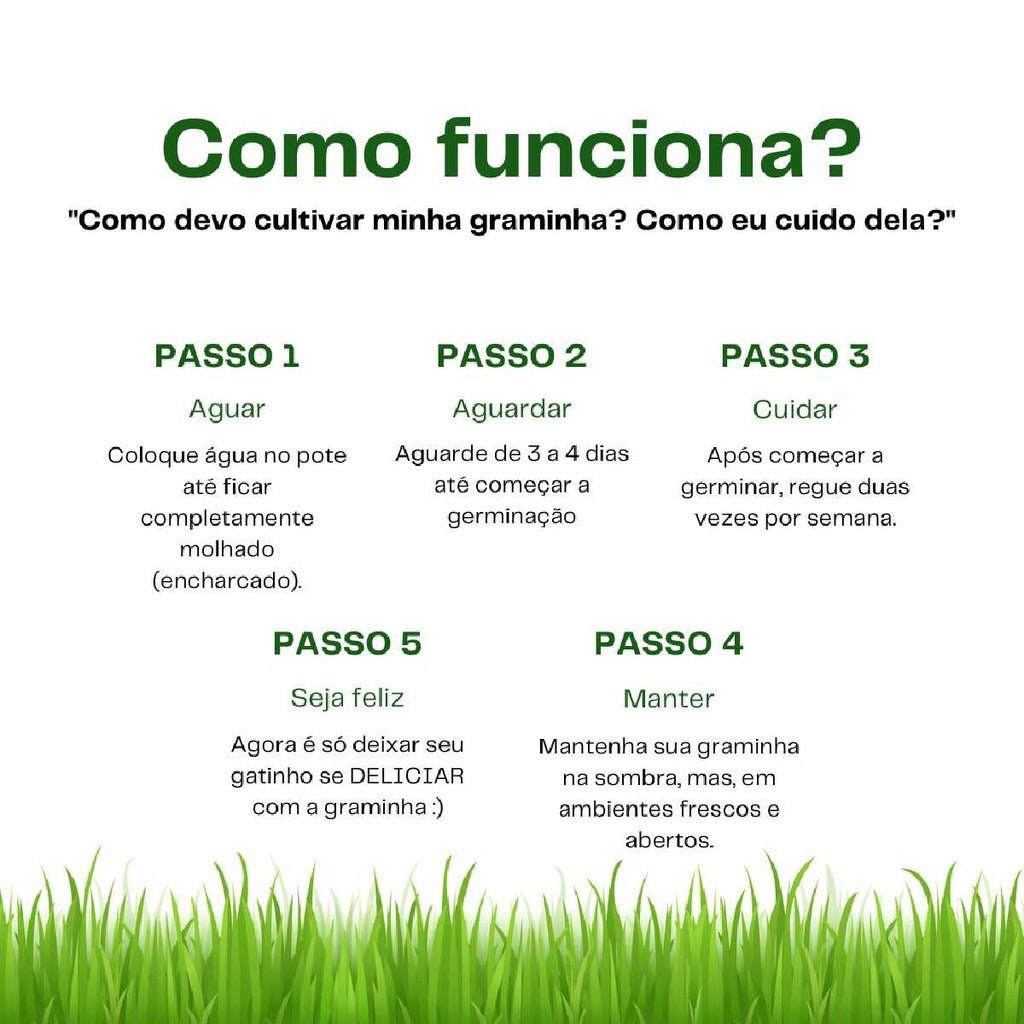 Detalhe das folhas verdes da grama natural para gatos, acessório essencial para saúde felina