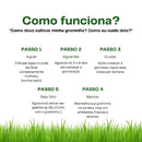 Grama Natural para Gatos – Melhora Digestão e Bem-estar