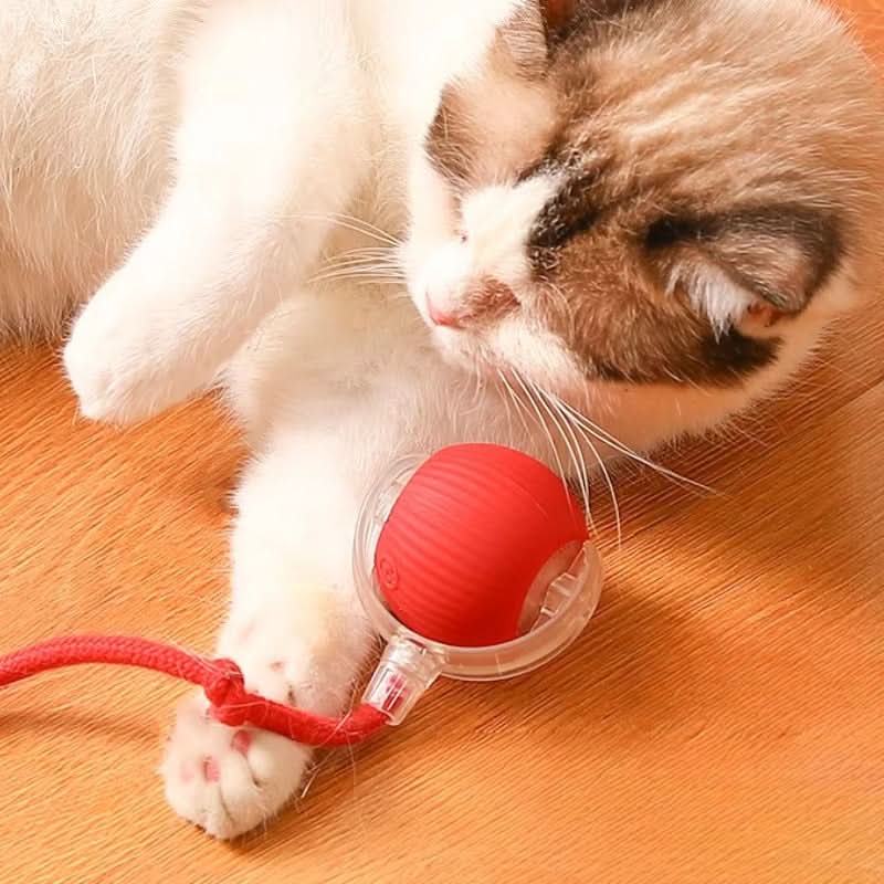 Detalhe do sensor inteligente na bolinha para gatos, garantindo brincadeira autônoma