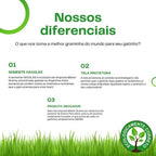 Grama natural para gatos Madrupet em ambiente doméstico, estimulando o bem-estar do pet