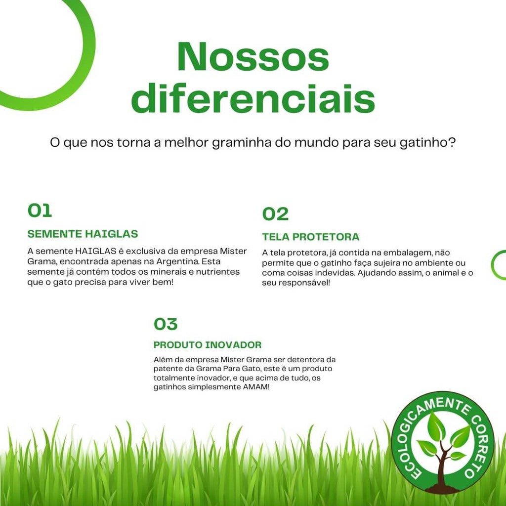 Grama natural para gatos Madrupet em ambiente doméstico, estimulando o bem-estar do pet