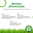 Grama Natural para Gatos – Melhora Digestão e Bem-estar