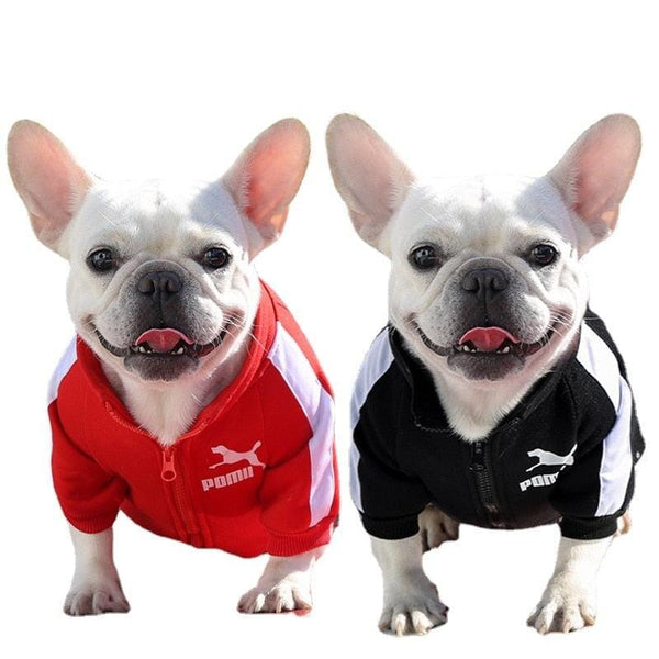 Jaqueta Estilosa para Cães – Proteção e Personalidade para os Dias Frios Jaqueta Pet para Cachorro Madrupet 
