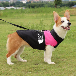 Jaqueta Impermeável Acolchoada para Cães – Estilo, Proteção e Conforto no Frio
