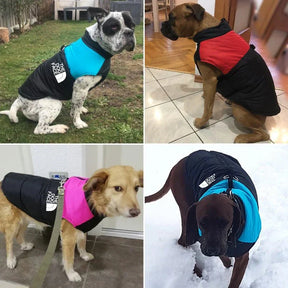 Jaqueta Impermeável Acolchoada para Cães – Estilo, Proteção e Conforto no Frio