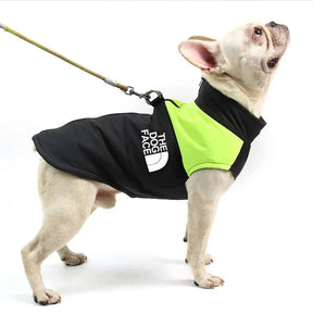 Jaqueta Impermeável Acolchoada para Cães – Estilo, Proteção e Conforto no Frio