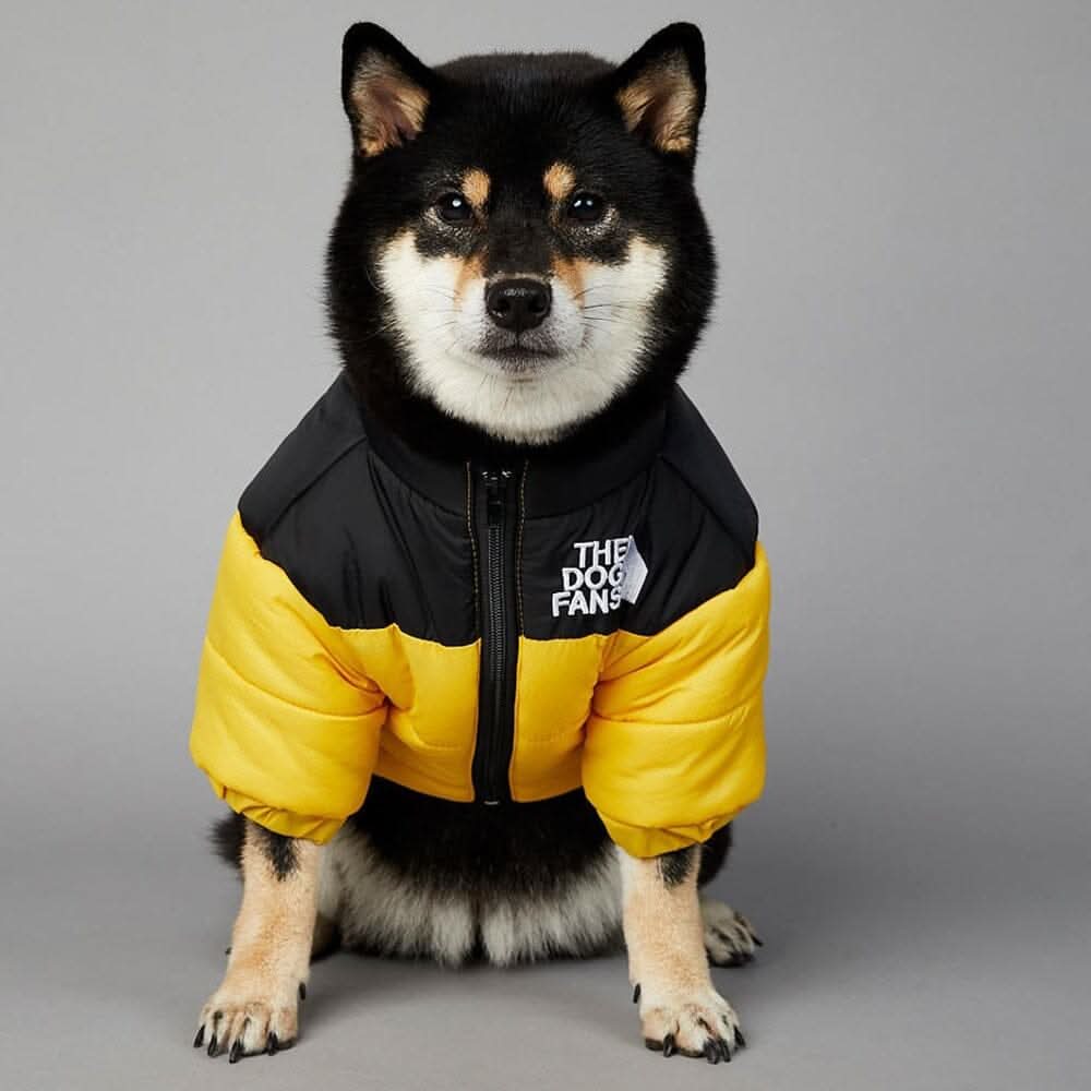 Jaqueta Térmica para Cachorros - Proteção e Conforto no Frio Jaqueta Térmica The Dog Fans Madrupet Amarelo P 