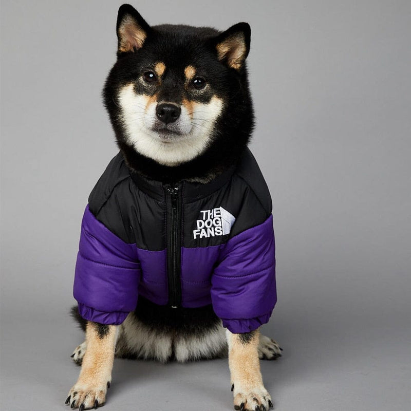Jaqueta Térmica para Cachorros - Proteção e Conforto no Frio Jaqueta Térmica The Dog Fans Madrupet Lilás P 