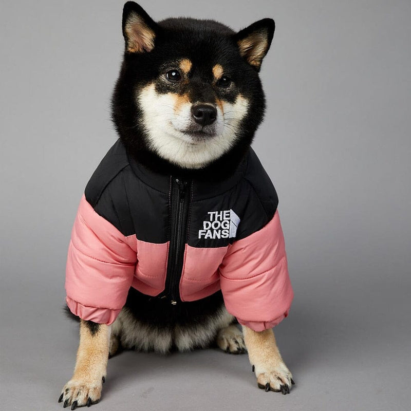 Jaqueta Térmica para Cachorros - Proteção e Conforto no Frio Jaqueta Térmica The Dog Fans Madrupet Rosa P 