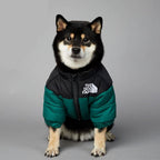 Jaqueta Térmica para Cachorros - Proteção e Conforto no Frio Jaqueta Térmica The Dog Fans Madrupet Verde P 
