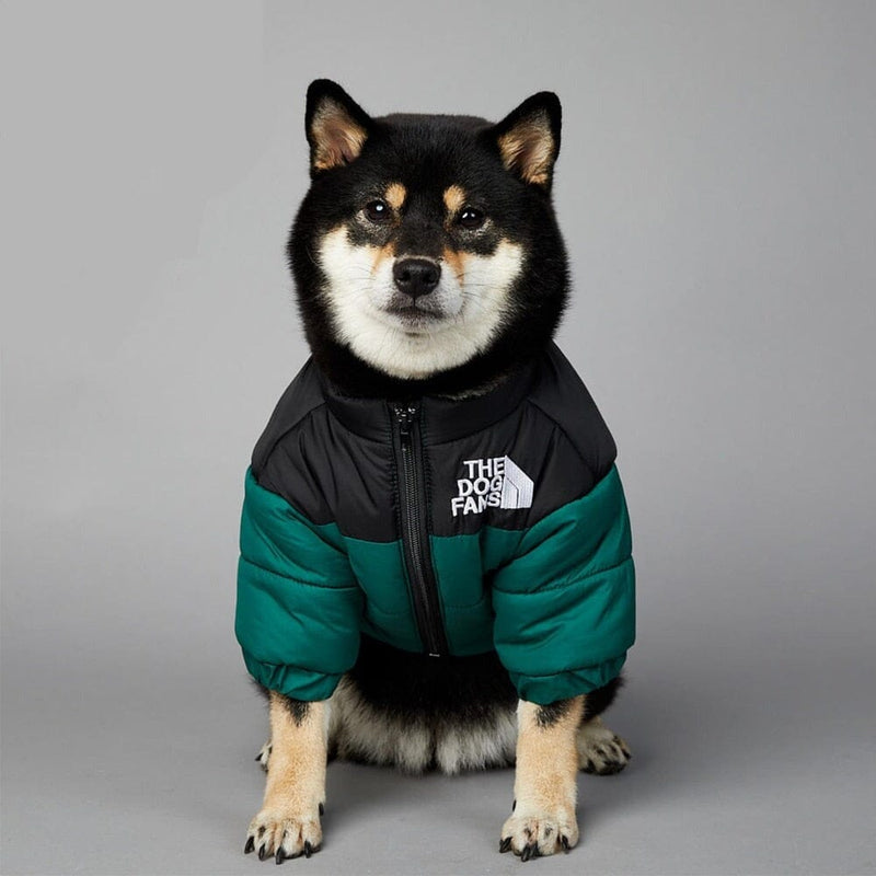 Jaqueta Térmica para Cachorros - Proteção e Conforto no Frio Jaqueta Térmica The Dog Fans Madrupet Verde P 